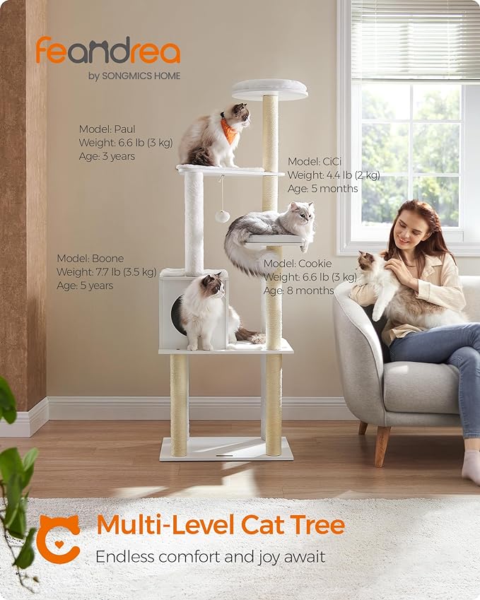 maine coon cat tree, maine coon cat trees