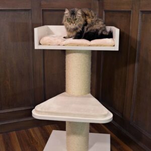 cat tree for large cats