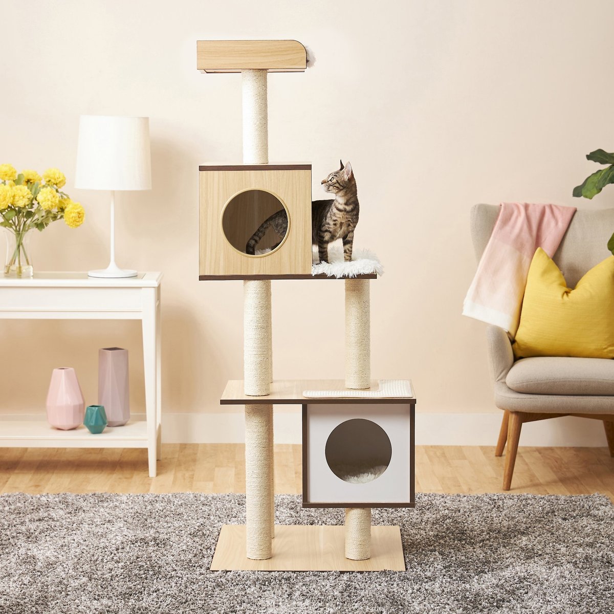 cat tree for older cats