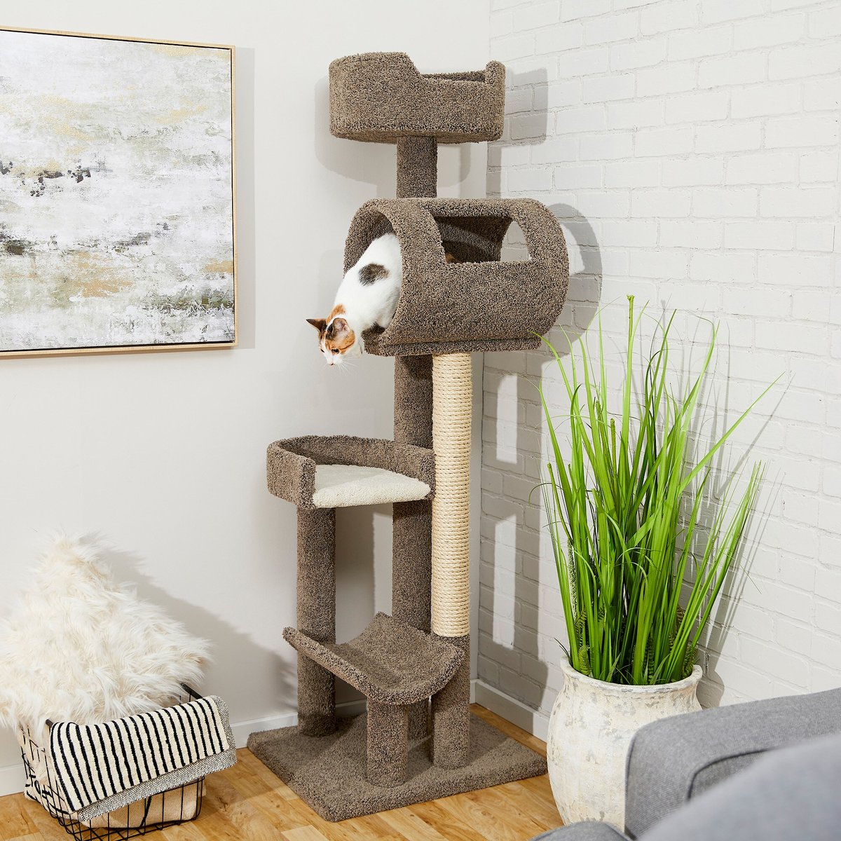 cat climbing tree