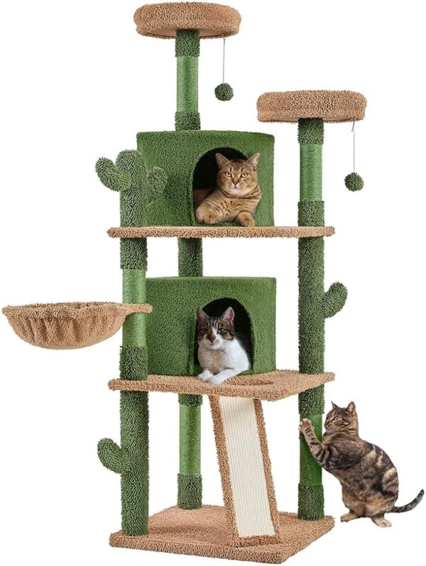 cat tree for big cats