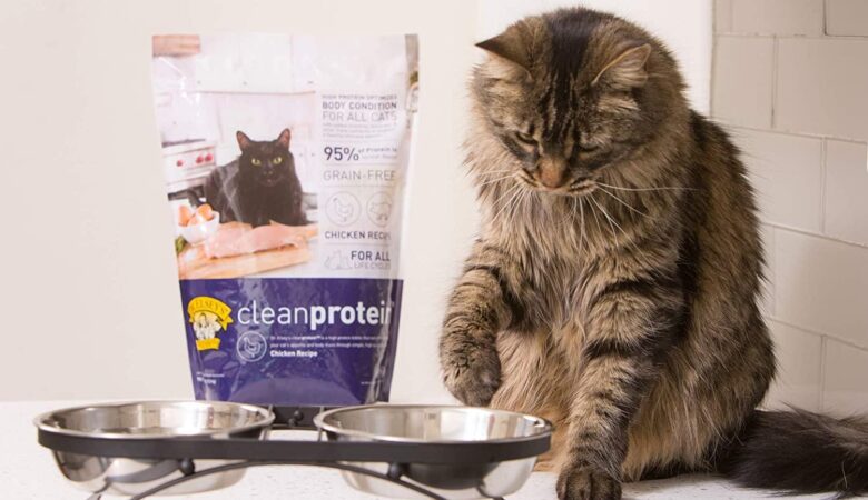 Best Cat Foods For Maine Coons