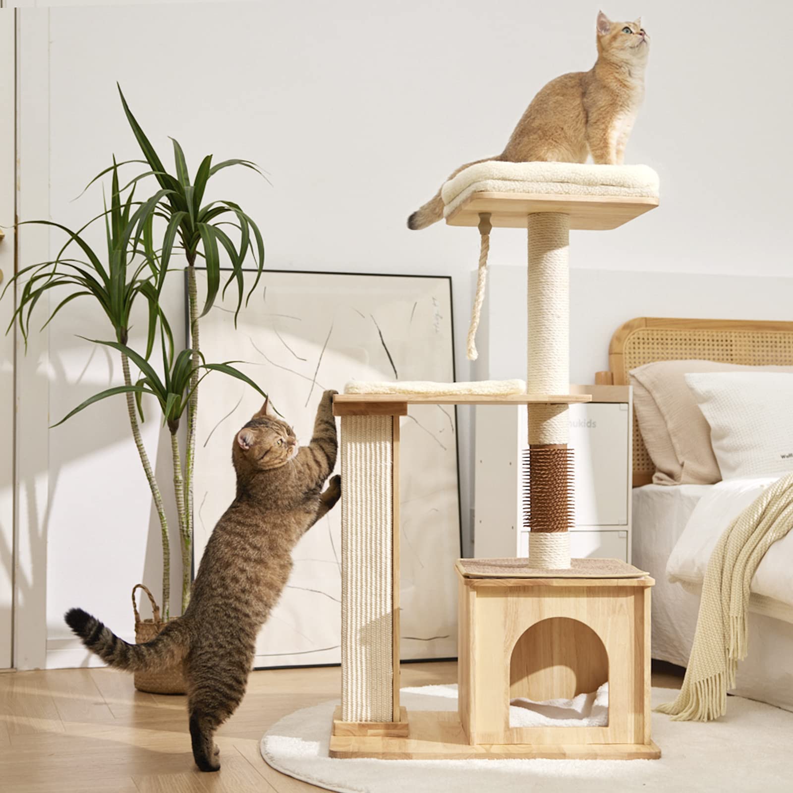 cat condos for sale