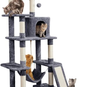 cat condo for large cats