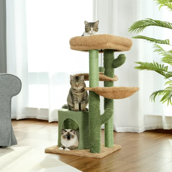 cat trees for big cats