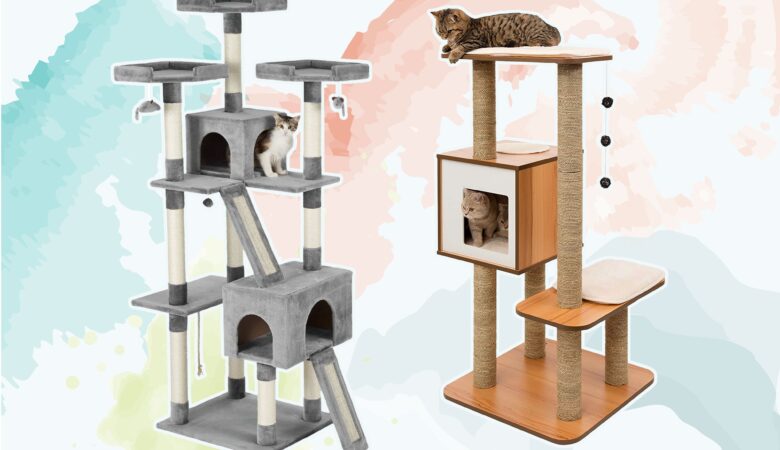 A Buyer’s Guide To Buying The Best Cat Tree For Large Cats