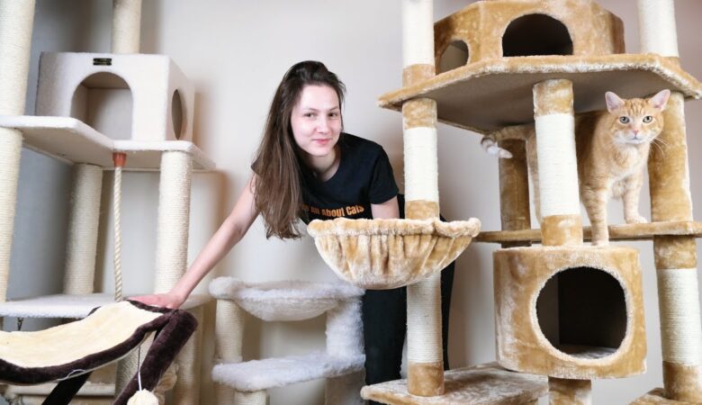 Why Do Cats Like Cat Towers?