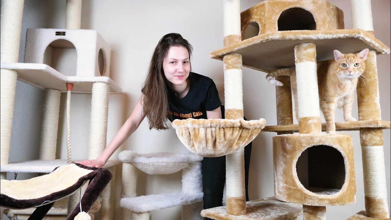 cat tower