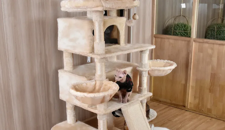 The Importance of Cat Trees and the Evolution of Cat Furniture